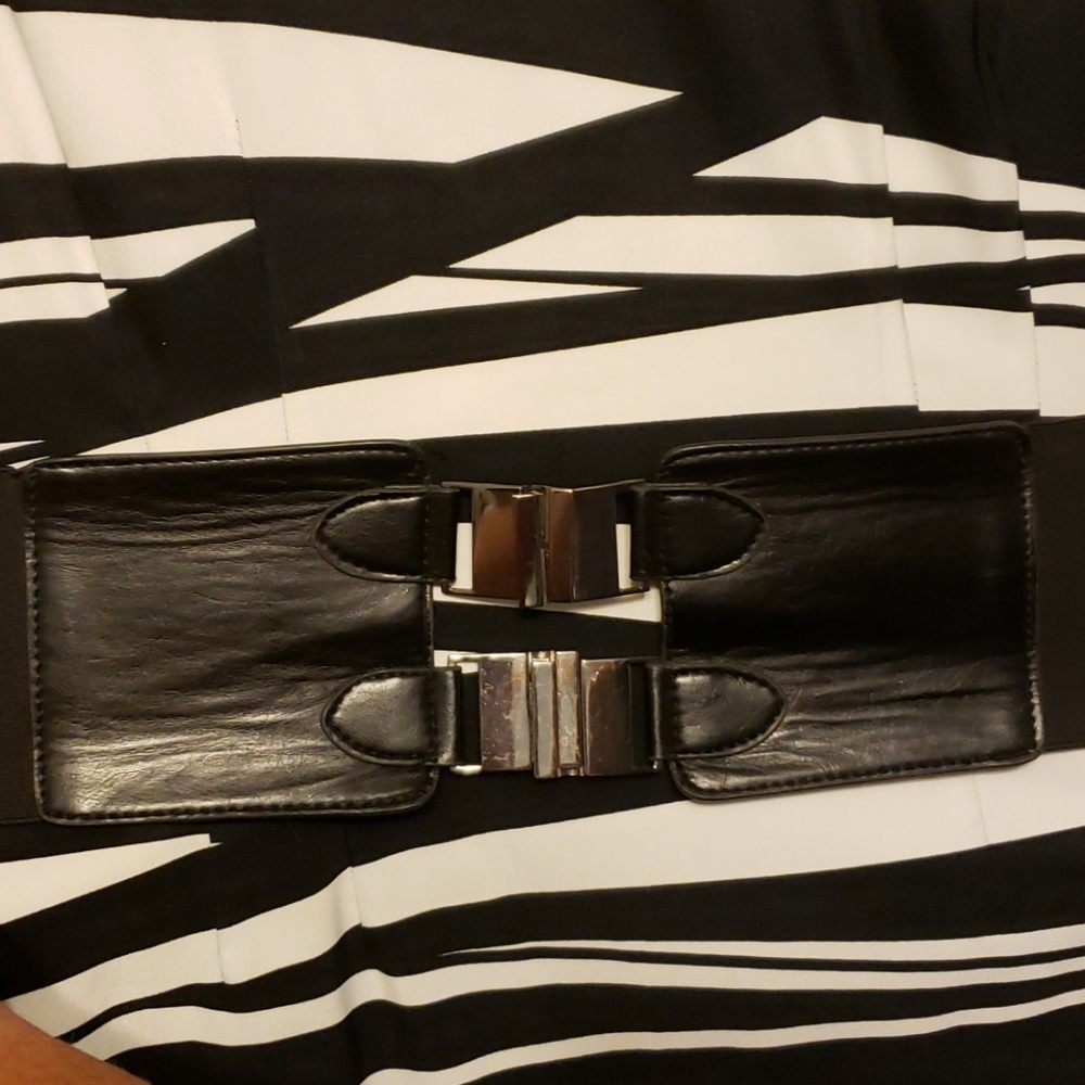 Belted Zebra Dress Cool & Unique